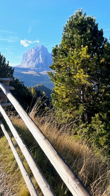 Holzzaun und Bergblick im Seceda Naturpark, Südtirol im Oktober 2022