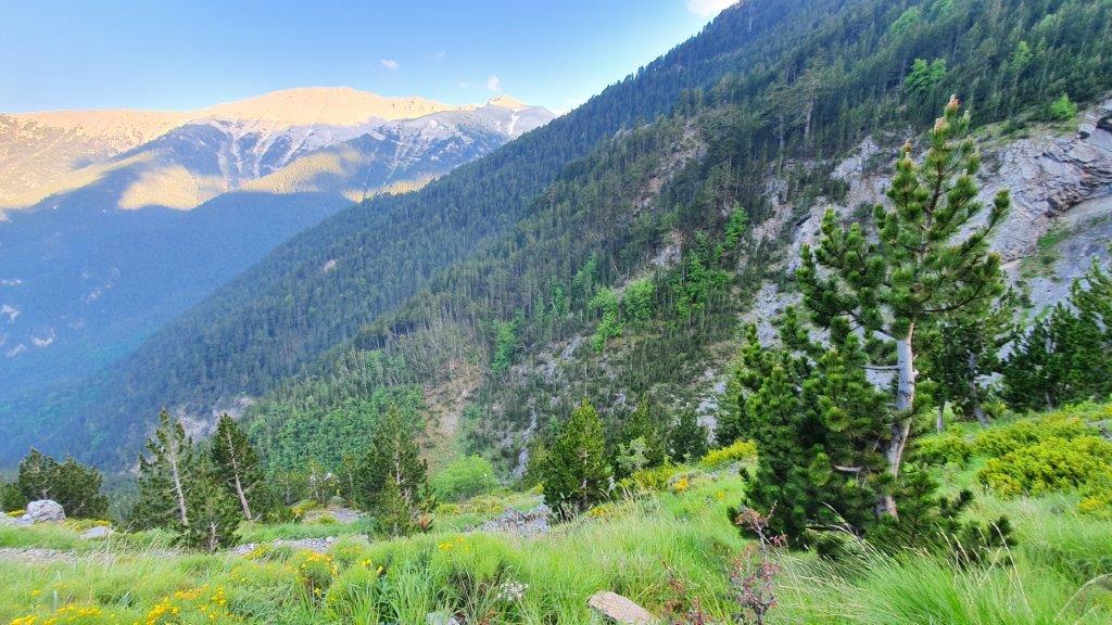 Mount Olympus Nationalpark in Griechenland im Juni 2021