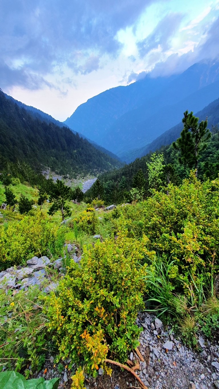 Grün in Slovenien (Soca-Tal) im September 2020