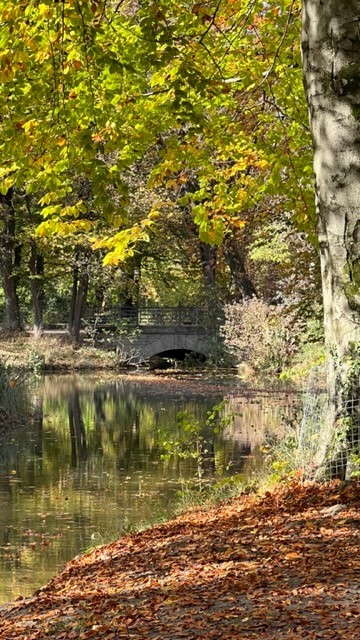 Englischer Garten Nähe Monopterus in München im November 2022