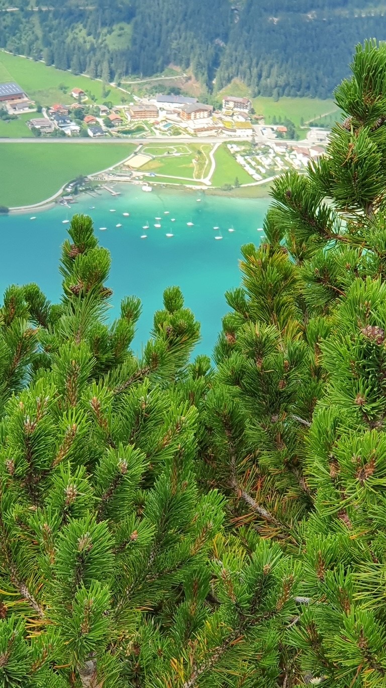 Blick auf den Achensee vom Bärenkopf im Juli 2022