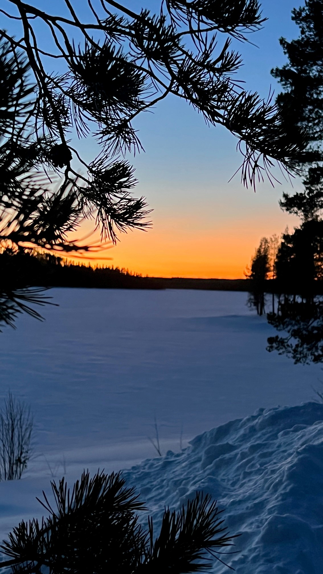 Sonnenuntergang in Järfträsk, Nordschweden im März 2023